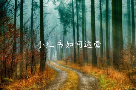 小紅書如何運(yùn)營(yíng)